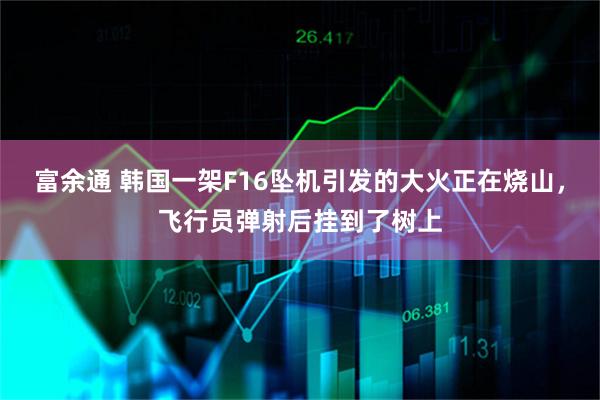 富余通 韩国一架F16坠机引发的大火正在烧山，飞行员弹射后挂到了树上