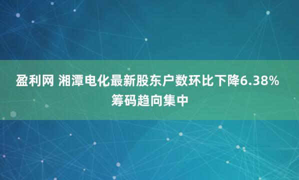 盈利网 湘潭电化最新股东户数环比下降6.38% 筹码趋向集中