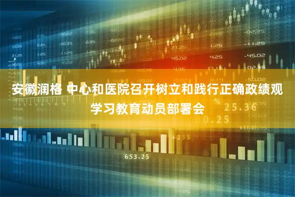 安徽润格 中心和医院召开树立和践行正确政绩观学习教育动员部署会
