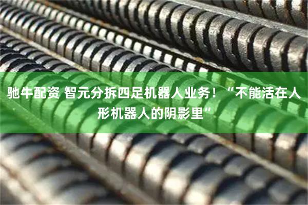 驰牛配资 智元分拆四足机器人业务！“不能活在人形机器人的阴影里”