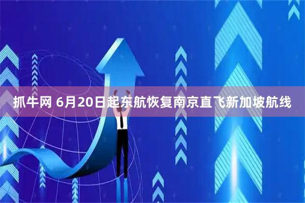 抓牛网 6月20日起东航恢复南京直飞新加坡航线