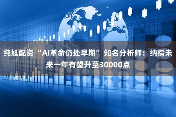 纯旭配资 “AI革命仍处早期” 知名分析师：纳指未来一年有望升至30000点