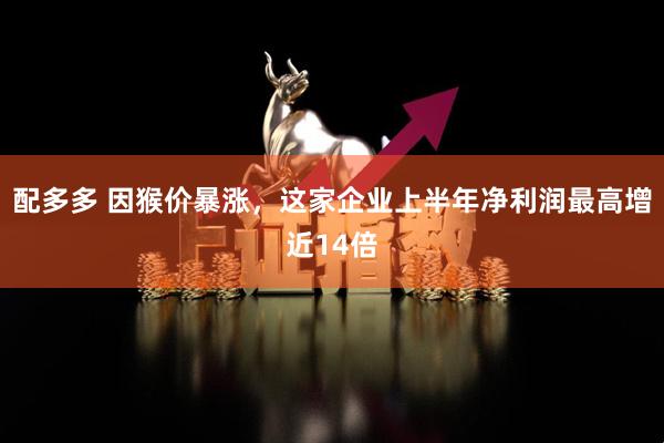配多多 因猴价暴涨，这家企业上半年净利润最高增近14倍