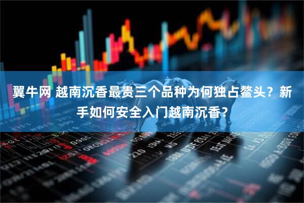 翼牛网 越南沉香最贵三个品种为何独占鳌头?新手如何安全入门越南沉香?