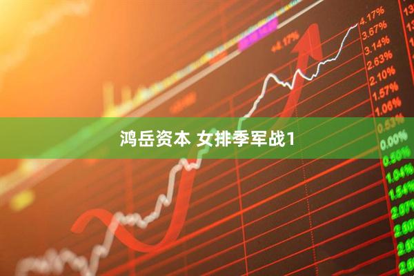 鸿岳资本 女排季军战1