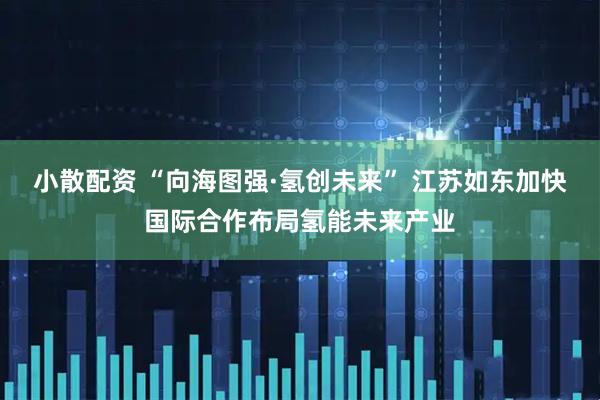 小散配资 “向海图强·氢创未来” 江苏如东加快国际合作布局氢能未来产业