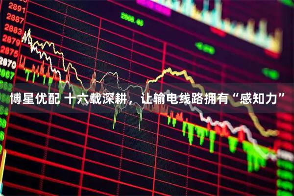 博星优配 十六载深耕，让输电线路拥有“感知力”