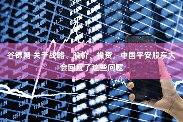 谷锦网 关于战略、股价、投资，中国平安股东大会回应了这些问题