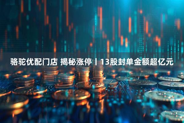 骆驼优配门店 揭秘涨停丨13股封单金额超亿元