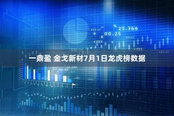 一鼎盈 金戈新材7月1日龙虎榜数据