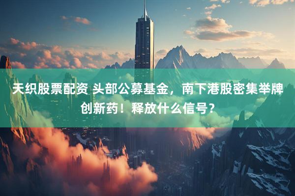 天织股票配资 头部公募基金，南下港股密集举牌创新药！释放什么信号？